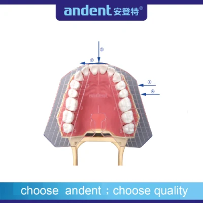 Dentale transparente Führungsplatte der Zähne